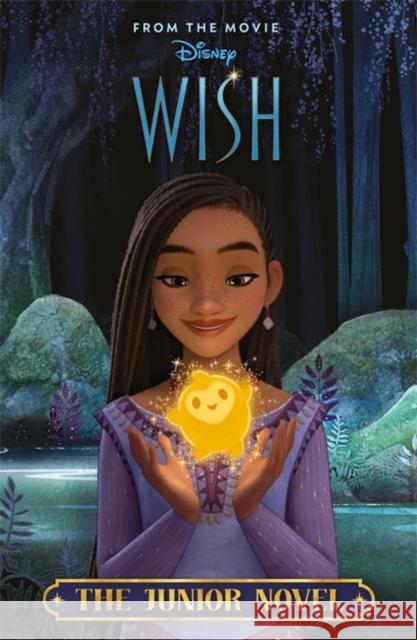 Disney Wish: The Junior Novel Walt Disney 9781837951475 Bonnier Books Ltd - książka