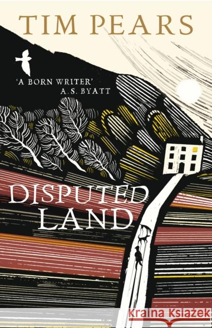 Disputed Land Tim Pears 9780099538028  - książka