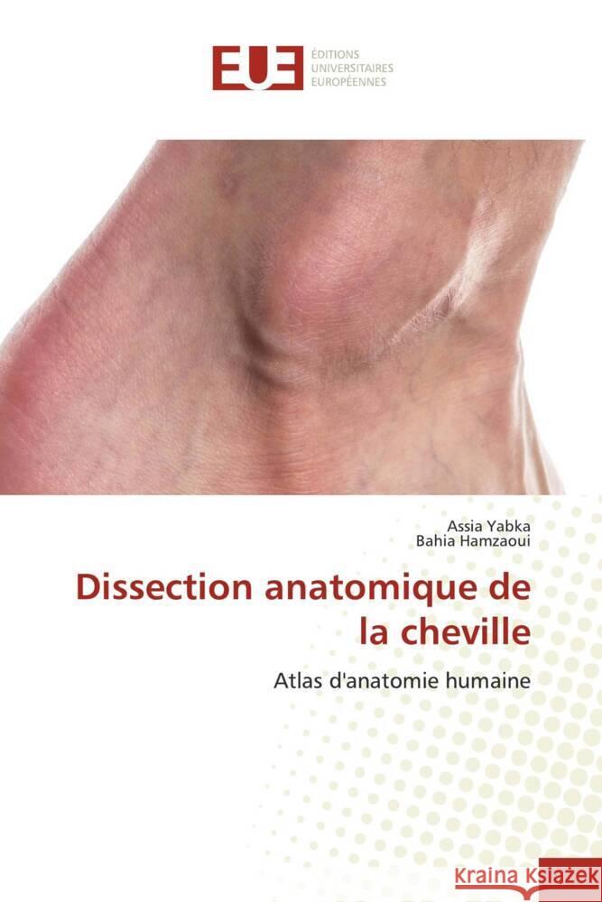 Dissection anatomique de la cheville Yabka, Assia, Hamzaoui, Bahia 9786202543293 Éditions universitaires européennes - książka