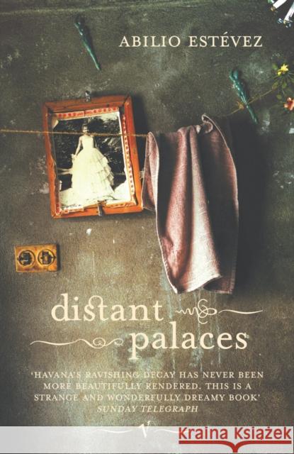 Distant Palaces Abilio Estevez 9780099468660 VINTAGE - książka