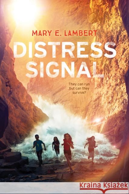 Distress Signal Mary E. Lambert 9781338607444 Scholastic Inc. - książka