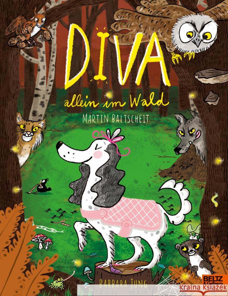 DIVA allein im Wald Baltscheit, Martin 9783407756732 Beltz - książka