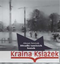 Divadlo tančících loutek Alexej Sevruk 9788074432019 Větrné mlýny - książka