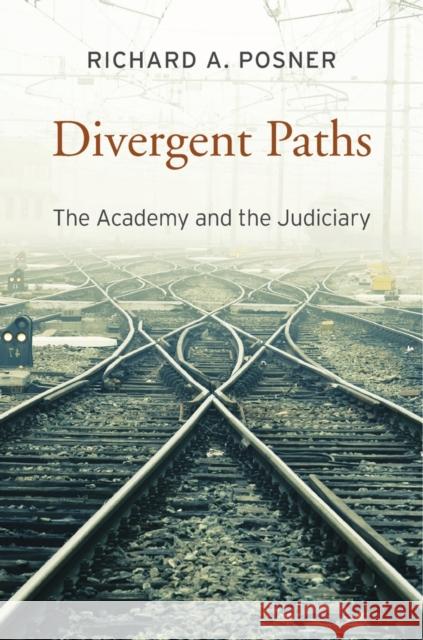 Divergent Paths Posner 9780674286030 Harvard University Press - książka