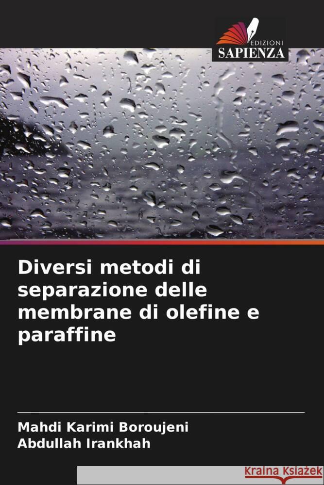 Diversi metodi di separazione delle membrane di olefine e paraffine Karimi Boroujeni, Mahdi, Irankhah, Abdullah 9786205207550 Edizioni Sapienza - książka