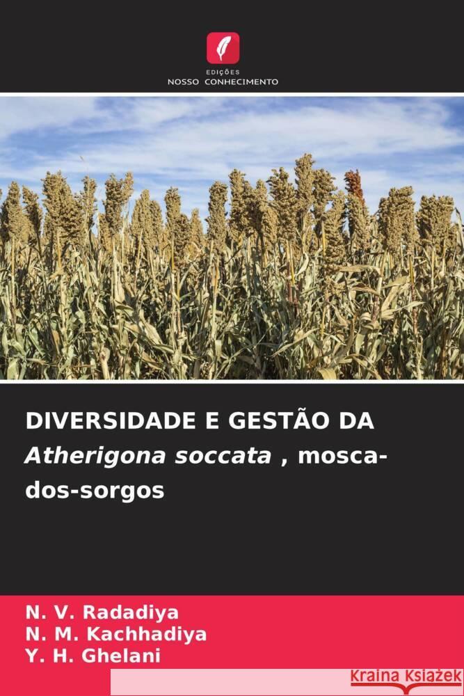 DIVERSIDADE E GEST?O DA Atherigona soccata, mosca-dos-sorgos N. V. Radadiya N. M. Kachhadiya Y. H. Ghelani 9786207151035 Edicoes Nosso Conhecimento - książka