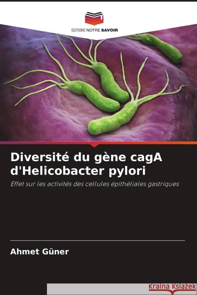 Diversité du gène cagA d'Helicobacter pylori Güner, Ahmet 9786206386056 Editions Notre Savoir - książka