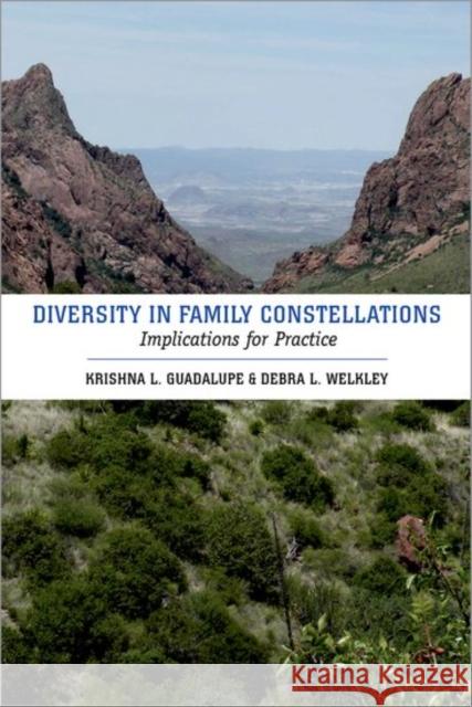 Diversity in Family Constellations: Implications for Practice Krishna L. Guadalupe Debra L. Welkley 9780190616151 Oxford University Press, USA - książka