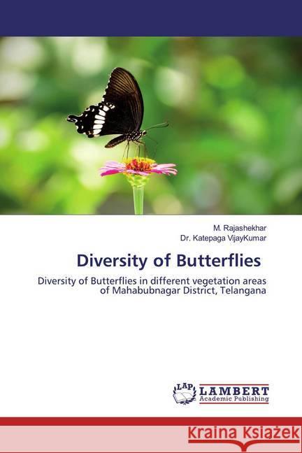 Diversity of Butterflies : Diversity of Butterflies in different vegetation areas of Mahabubnagar District, Telangana Rajashekhar, M.; VijayKumar, Dr. Katepaga 9786202511407 LAP Lambert Academic Publishing - książka