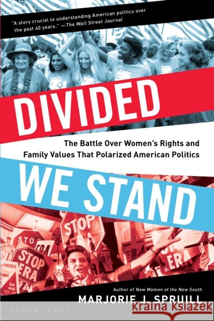 Divided We Stand: The Battle Over Women's Rights and Family Values That Polarized American Politics Marjorie J. Spruill 9781632863164 Bloomsbury Publishing - książka