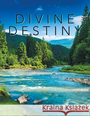 Divine Destiny Carolyn Chaney 9781984559227 Xlibris Us - książka