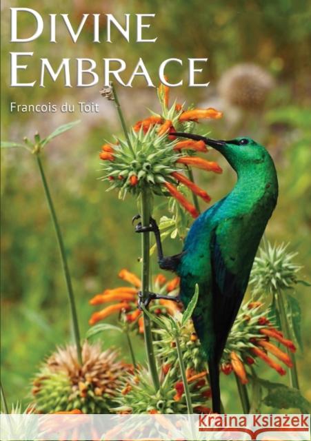 Divine Embrace Francois DU TOIT 9780992176914 Mirrorword Publishing - książka