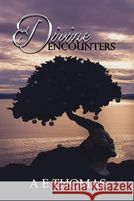 Divine Encounters Ae Thomas 9781637901151 Lift Bridge Publishing - książka