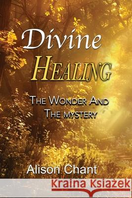 Divine Healing Alison Chant 9781931178204 La Fontaine Media Limited - książka