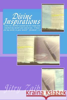 Divine Inspirations Jitry Zaib Proverbial Butterfly Publishing 9781541226180 Createspace Independent Publishing Platform - książka
