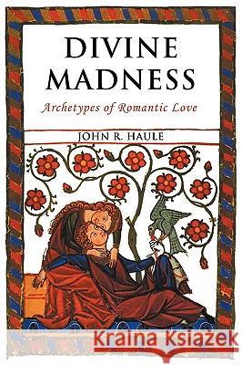 Divine Madness: Archetypes of Romantic Love Haule, John R. 9781926715049 FISHER KING PUBLISHING - książka