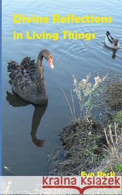 Divine Reflections in Living Things Eva Peck Alexander Peck 9780987500304 Pathway Publishing - książka