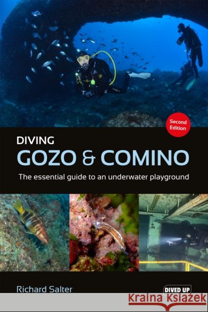 Diving Gozo & Comino: The essential guide to an underwater playground Richard Salter 9781909455580 Dived Up Publications - książka