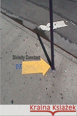 Divinity Constant D. F. Downey 9781434879264 Createspace - książka