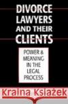 Divorce Lawyers and Their Clients: Power and Meaning in the Legal Process Sarat, Austin 9780195063875 Oxford University Press