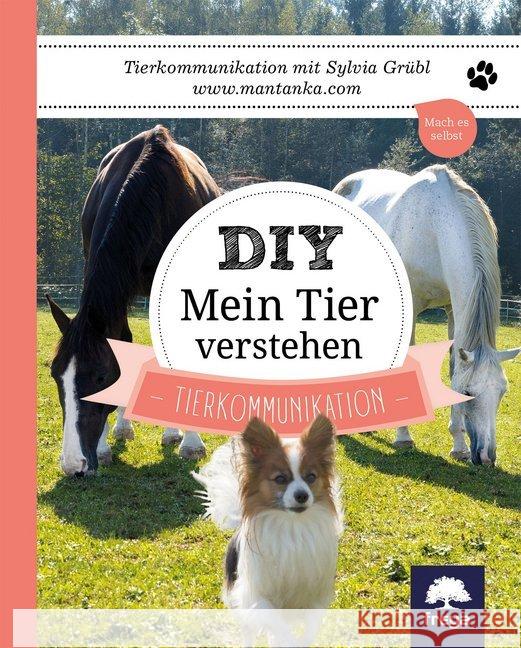 DIY Mein Tier verstehen : Tierkommunikation Grübl, Sylvia 9783990252871 Freya - książka