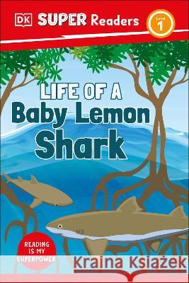 DK Super Readers Level 1 Life of a Baby Lemon Shark DK 9780744075786 DK Children (Us Learning) - książka