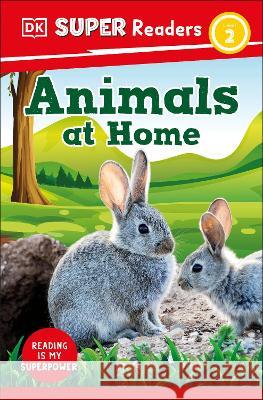 DK Super Readers Level 2 Animals at Home DK 9780744068054 DK Children (Us Learning) - książka
