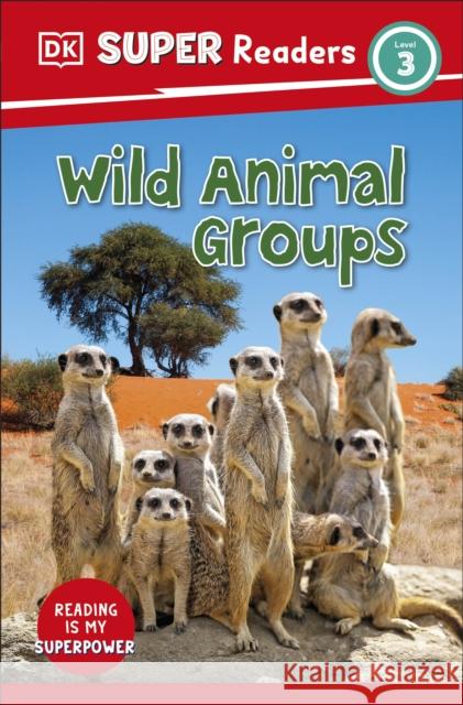 DK Super Readers Level 3 Wild Animal Groups DK 9780241603451 Dorling Kindersley Ltd - książka