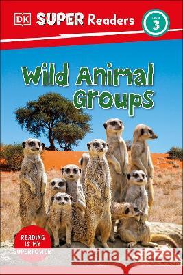 DK Super Readers Level 3 Wild Animal Groups DK 9780744075526 DK Children (Us Learning) - książka
