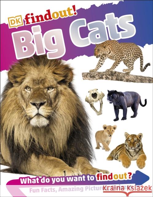 DKfindout! Big Cats DK   9780241358412 Dorling Kindersley Ltd - książka