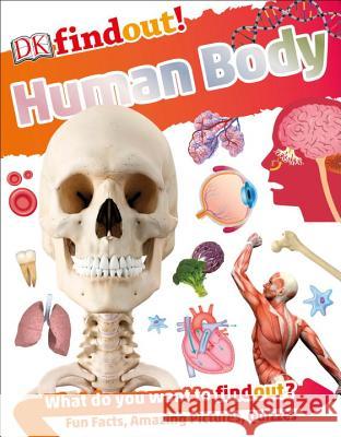 Dkfindout! Human Body DK 9781465463081 DK Publishing (Dorling Kindersley) - książka