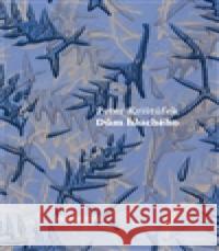 Dům hluchého Peter Krištúfek 9788074431807 Větrné mlýny - książka