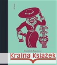 Dáma Matúš Ďurčík 9788099977311 Sol Noctis - książka