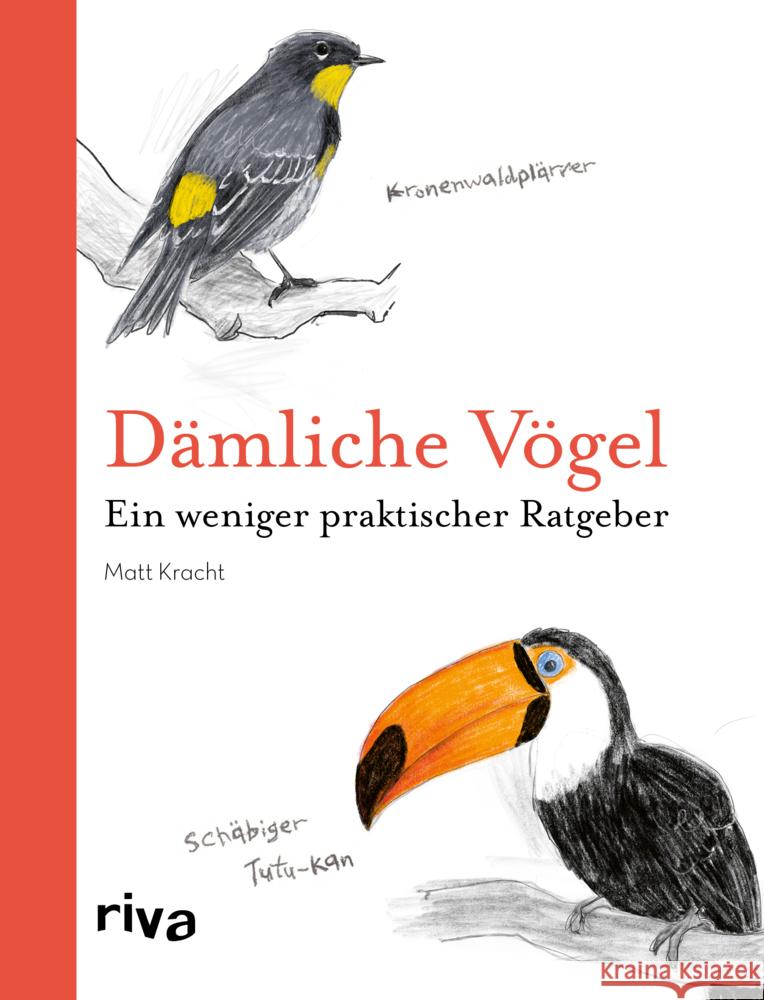 Dämliche Vögel Kracht, Matt 9783742319876 Riva - książka