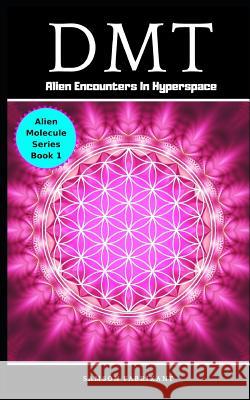 Dmt: Alien Encounters In Hyperspace Fabrikant, Samson 9781791542825 Independently Published - książka