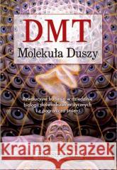 DMT. Molekuła duszy Rick Strassman, Maciej Lorenc, Beata Piecychna, A 9788383211251 Kobiece - książka