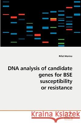 DNA analysis of candidate genes for BSE susceptibility or resistance Morina, Rifat 9783639246445 VDM Verlag - książka