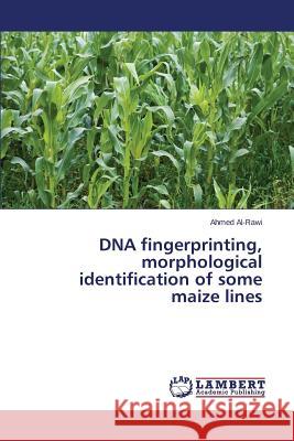 DNA fingerprinting, morphological identification of some maize lines Al-Rawi Ahmed 9783659772856 LAP Lambert Academic Publishing - książka