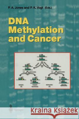 DNA Methylation and Cancer P.A. Jones, P.K. Vogt 9783642640902 Springer-Verlag Berlin and Heidelberg GmbH &  - książka