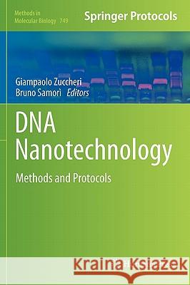 DNA Nanotechnology: Methods and Protocols Zuccheri, Giampaolo 9781617791413 Not Avail - książka