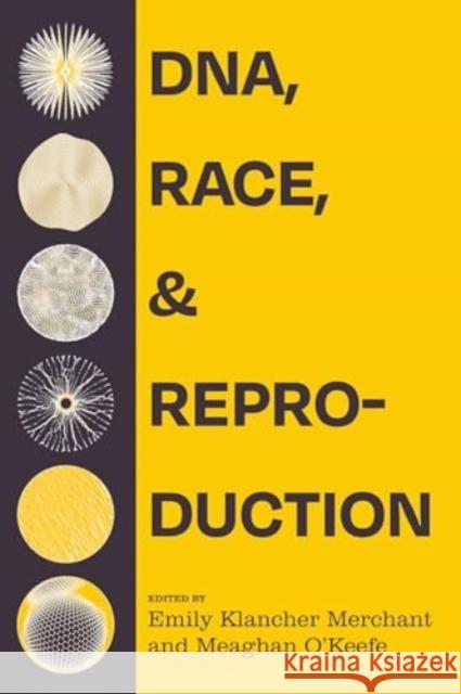 DNA, Race, and Reproduction  9780520399587 University of California Press - książka