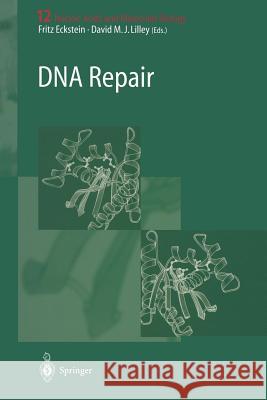 DNA Repair Fritz Eckstein, David M.J. Lilley 9783642487729 Springer-Verlag Berlin and Heidelberg GmbH &  - książka