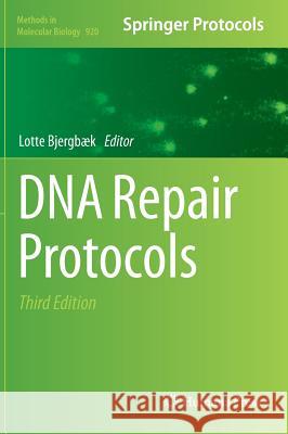 DNA Repair Protocols Lotte Bjerg 9781617799976 Humana Press - książka