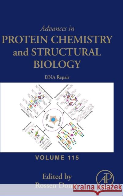 DNA Repair: Volume 115 Donev, Rossen 9780128155592 Academic Press - książka