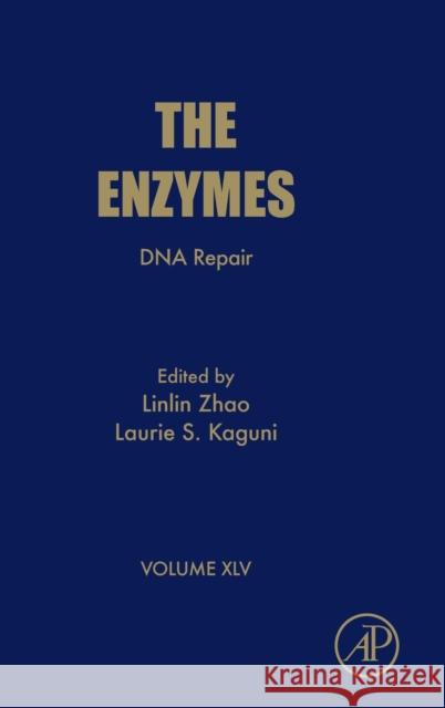 DNA Repair: Volume 45 Zhao, Linlin 9780128173961 Academic Press - książka