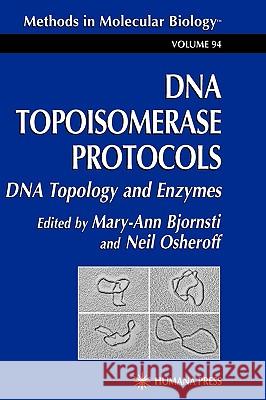 DNA Topoisomerase Protocols: Volume I: DNA Topology and Enzymes Bjornsti, Mary-Ann 9780896034440 Humana Press - książka