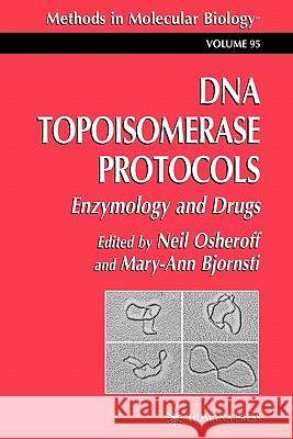 DNA Topoisomerase Protocols: Volume II: Enzymology and Drugs Osheroff, Neil 9781617370571 Springer - książka