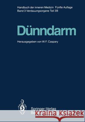 Dünndarm B Bommer, W. 9783642688980 Springer - książka