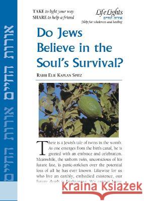 Do Jews Believe in Soul's Survival-12 Pk Jewish Lights Publishing 9781683366119 Jewish Lights Publishing - książka
