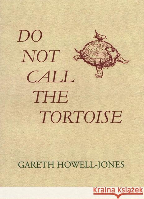 Do Not Call the Tortoise Gareth Howell-Jones 9781399943109 The Cyrus Press - książka